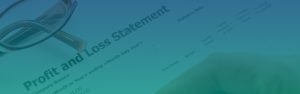 How to make a profit and loss statement-feature